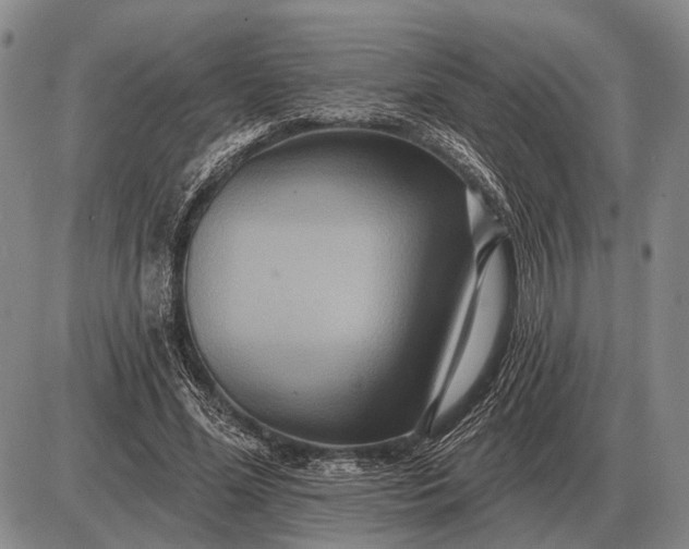 X0000085060588200703191327