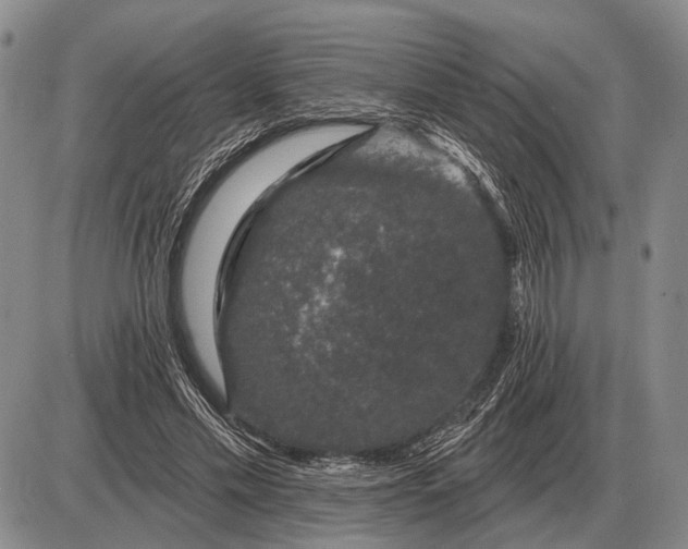 X0000085060589200703191327