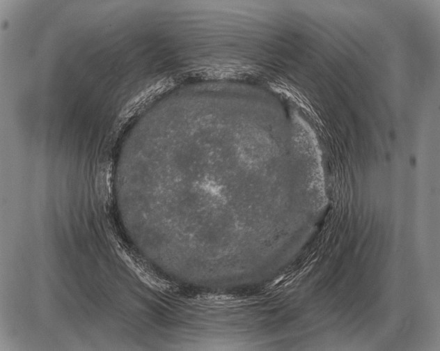 X0000085060590200703191327