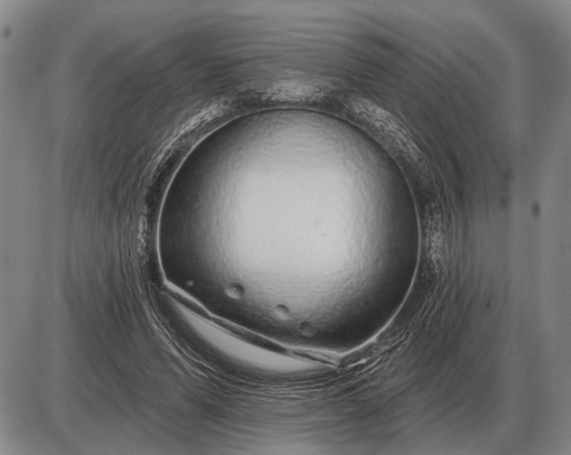 X0000085060591200703191327