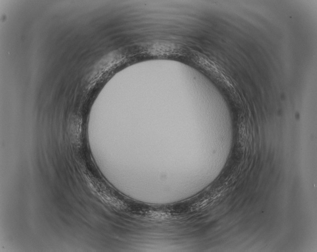 X0000085060592200703191327