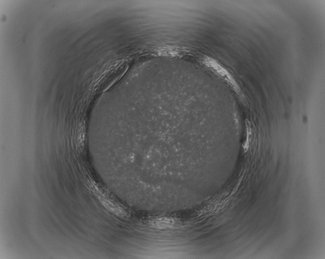 X0000085060593200703191327