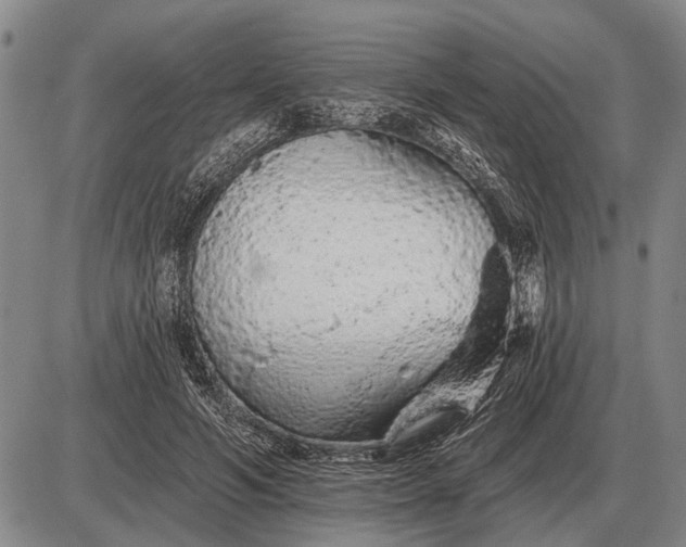 X0000085060594200703191327