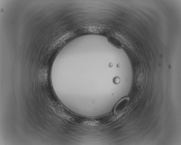 X0000085060595200703191327