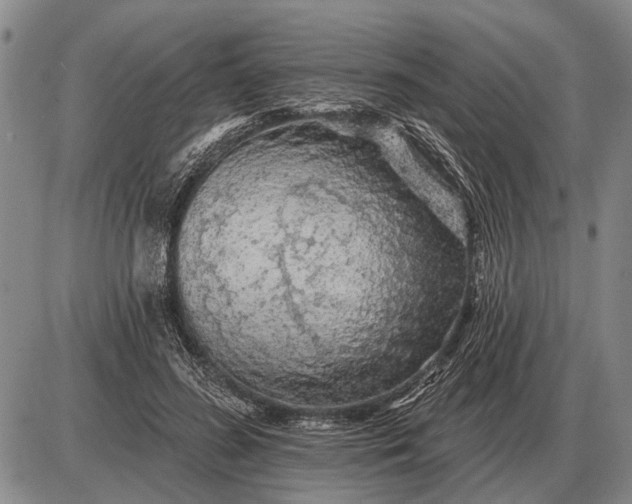 X0000085060596200703191327