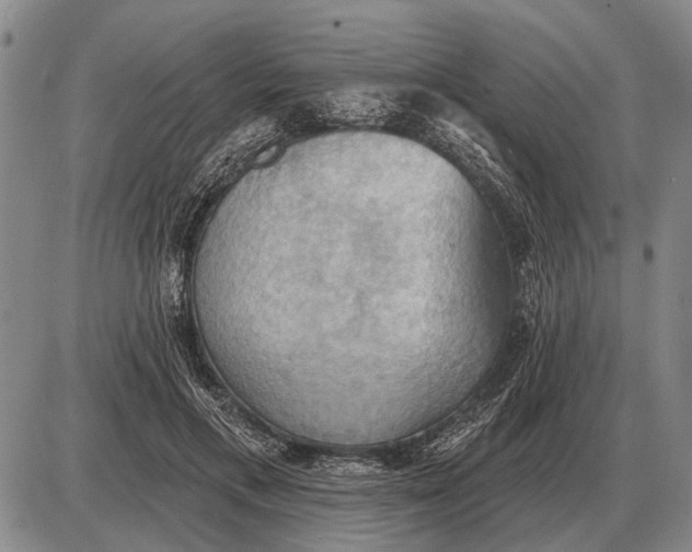 X0000085060597200703191327