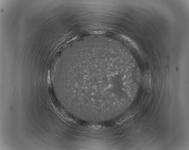 X0000085060598200703191327