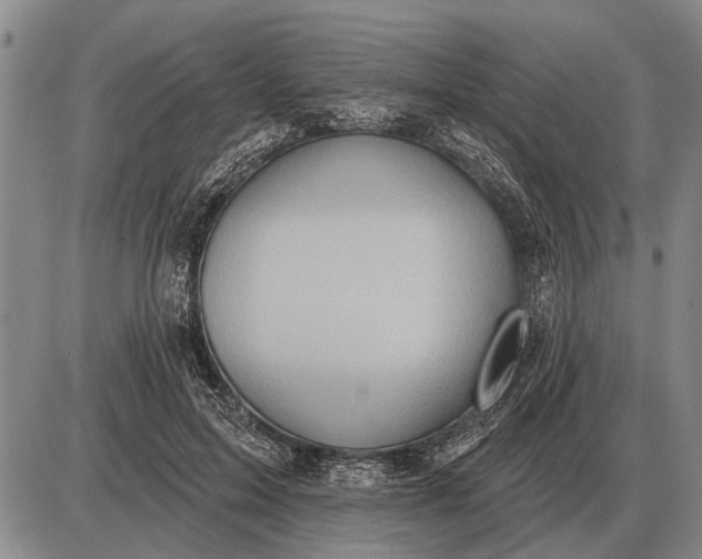 X0000085060599200703191327