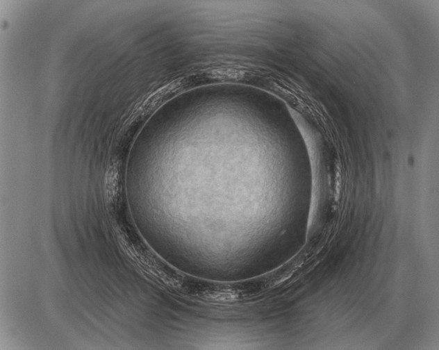 X0000085060600200703191327