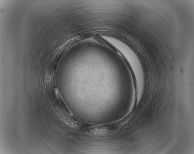 X0000085060601200703191327