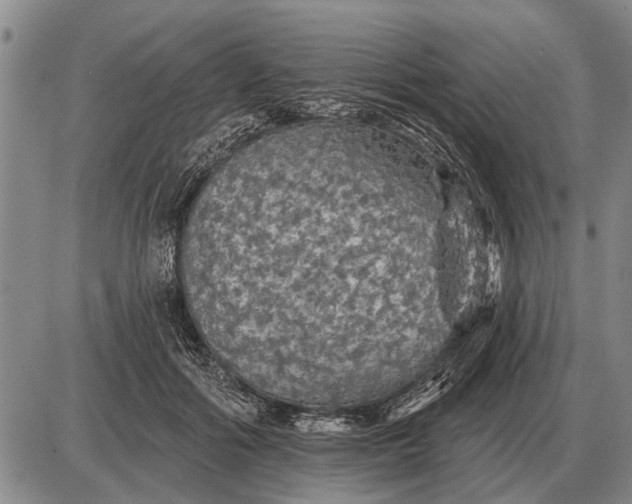 X0000085060602200703191327