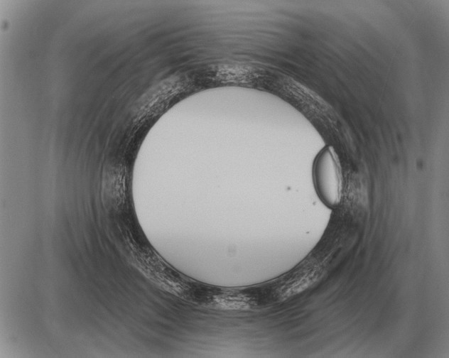 X0000085060603200703191327