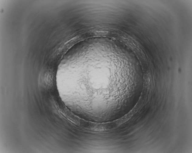 X0000085060604200703191327