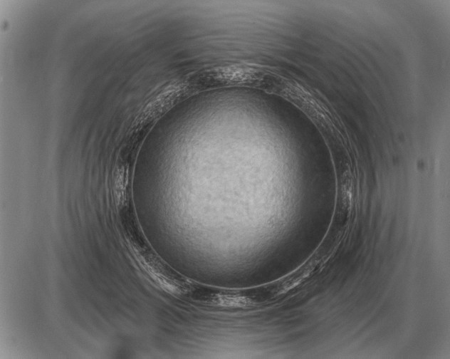 X0000085060605200703191327