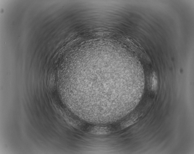 X0000085060606200703191327