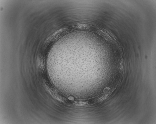 X0000085060607200703191327