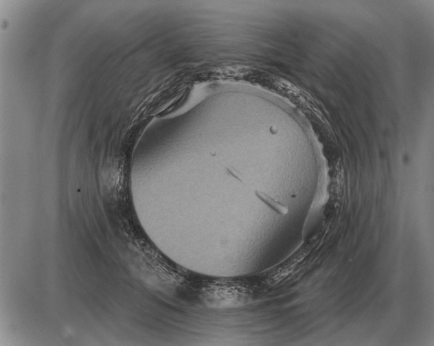 X0000085060608200703191327