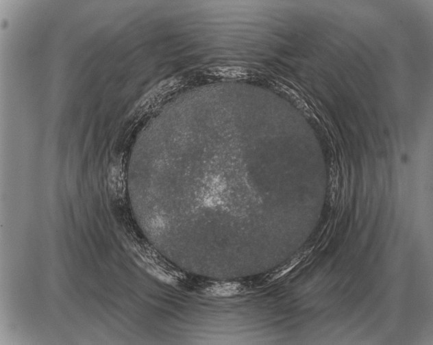 X0000085060609200703191327