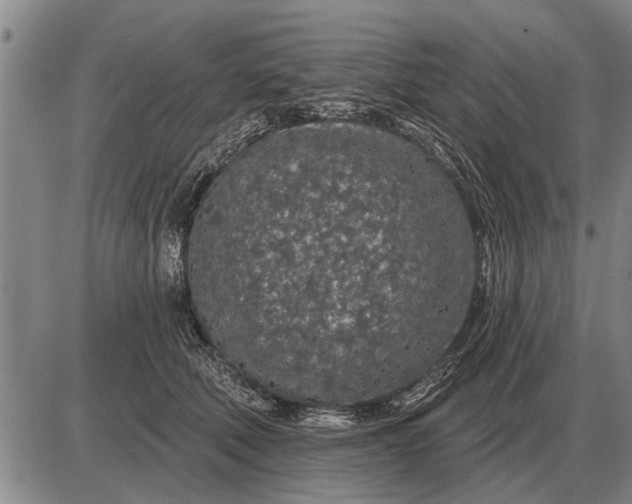 X0000085060610200703191327