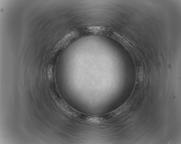 X0000085060611200703191326