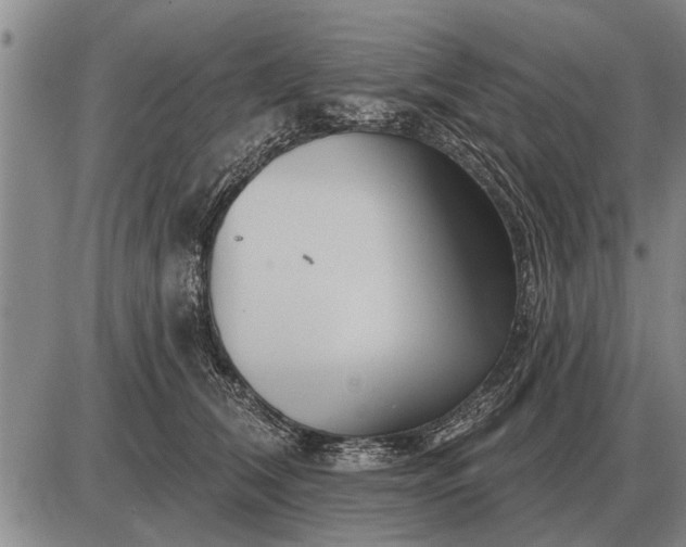 X0000085060612200703191326