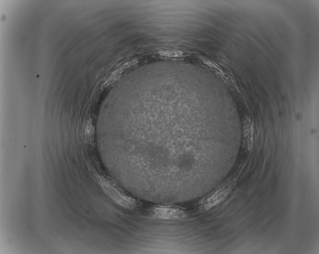 X0000085060614200703191326