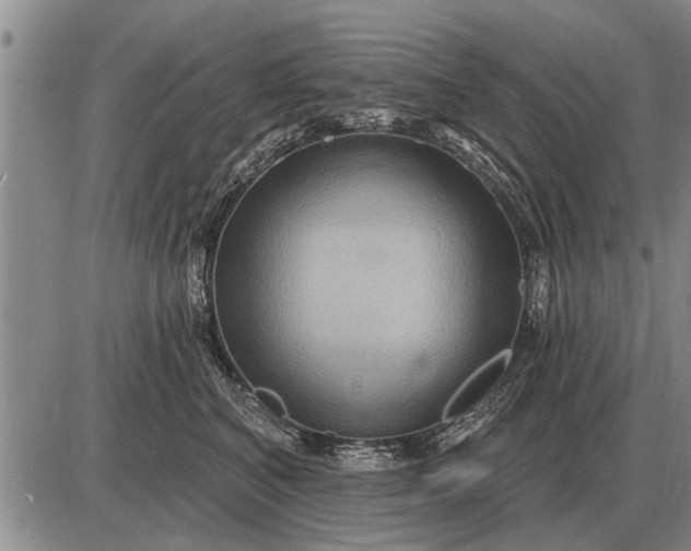 X0000085060616200703191326