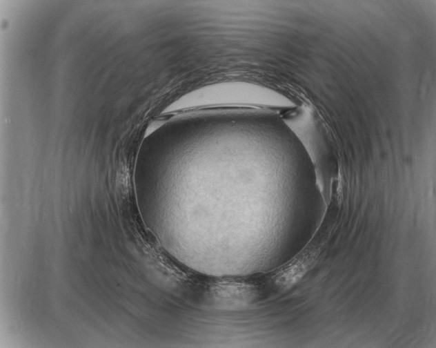 X0000085060617200703191326