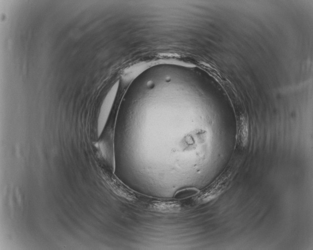 X0000085060619200703191326