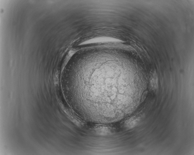 X0000085060620200703191326