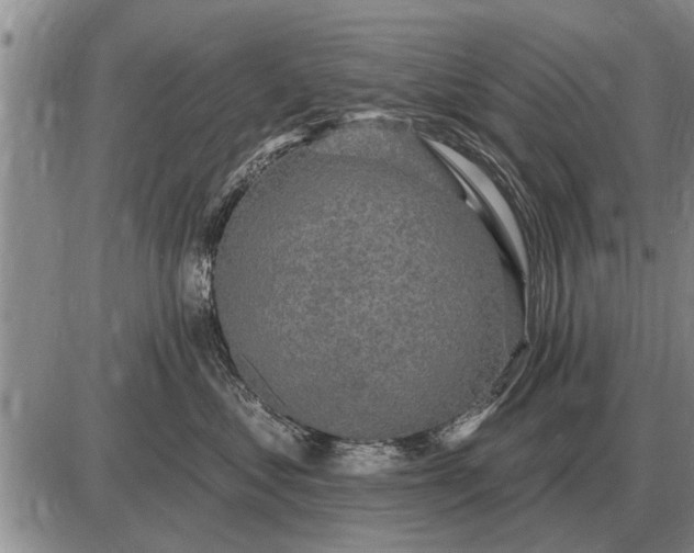 X0000085060621200703191326