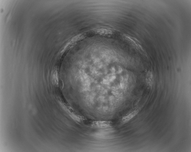 X0000085060622200703191326