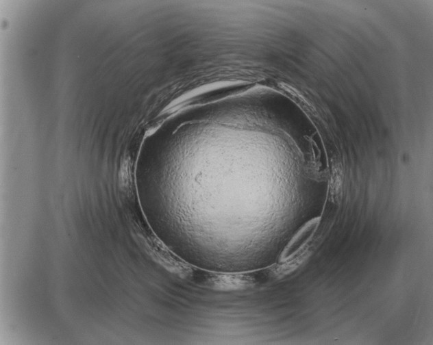 X0000085060623200703191326