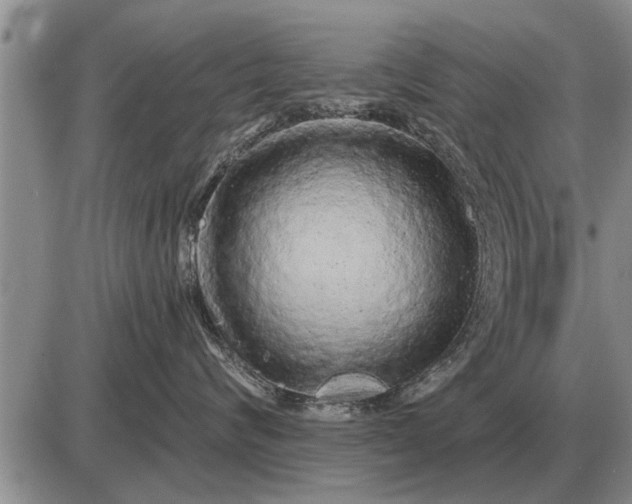 X0000085060624200703191326