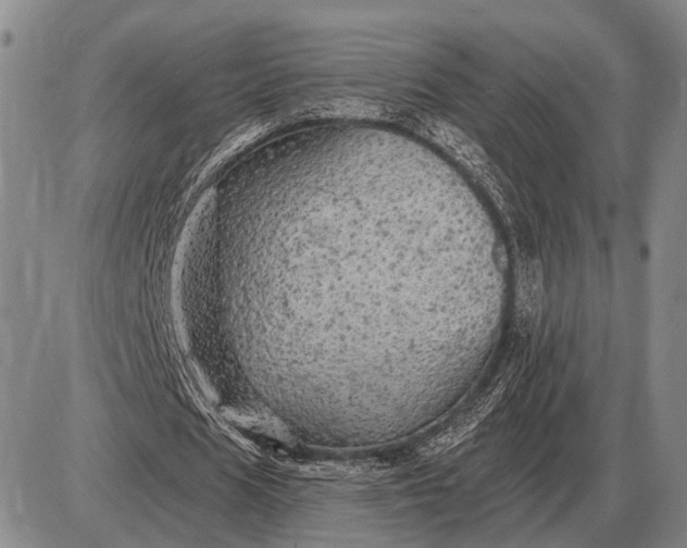 X0000085060625200703191325