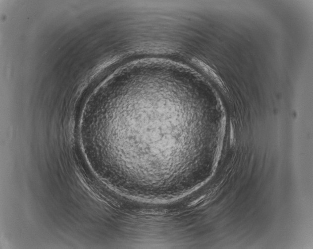 X0000085060627200703191326