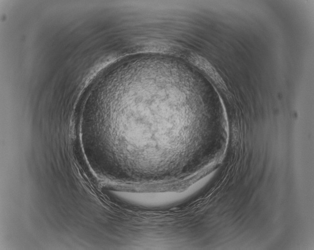 X0000085060628200703191326