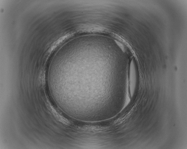 X0000085060629200703191326