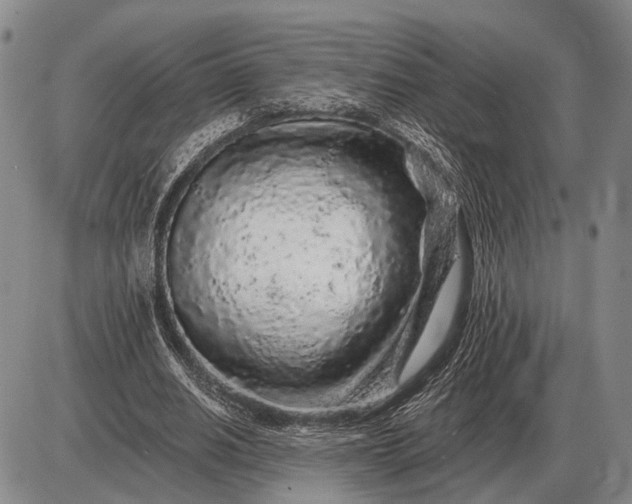 X0000085060630200703191326