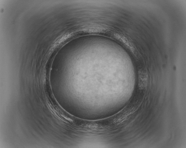 X0000085060631200703191326