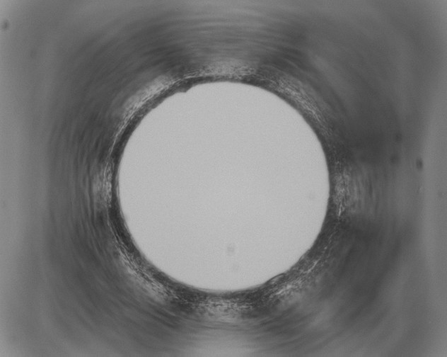 X0000085060632200703191326