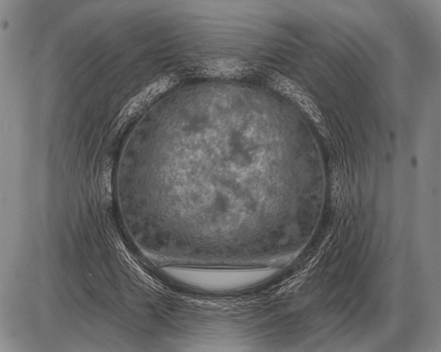 X0000085060633200703191326