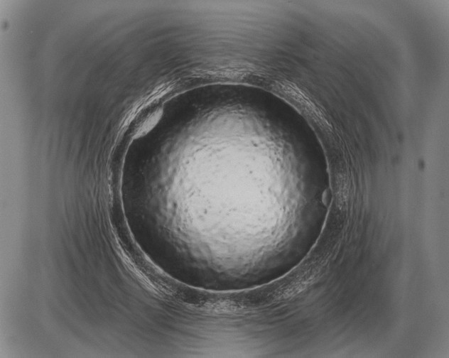 X0000085060634200703191326