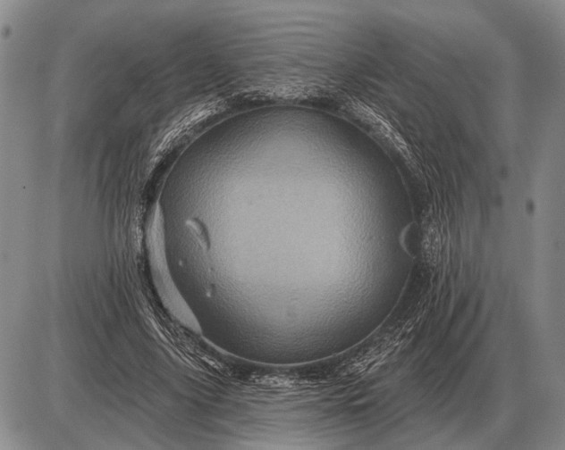 X0000085060635200703191326