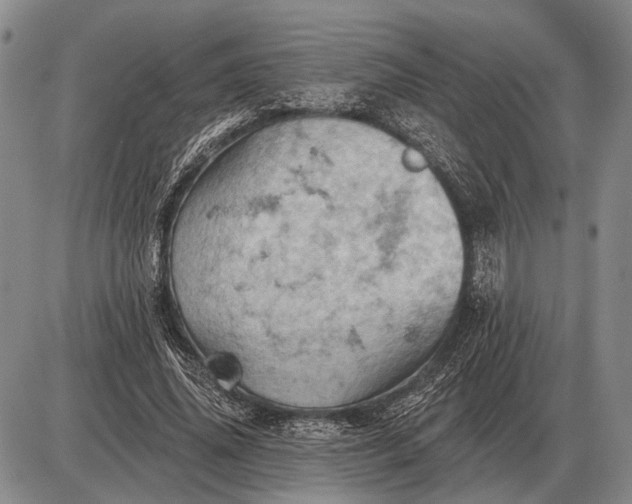 X0000085060636200703191326