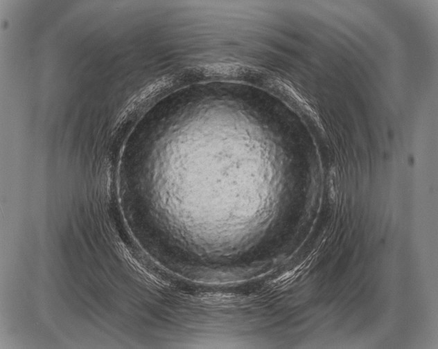 X0000085060637200703191326