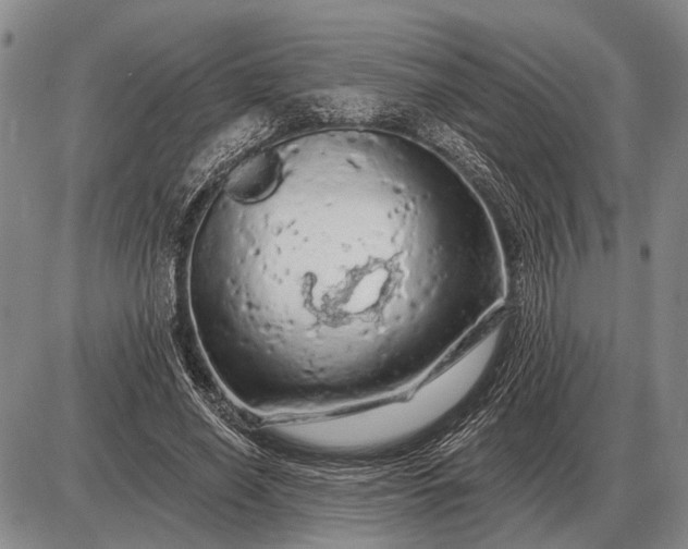 X0000085060638200703191326