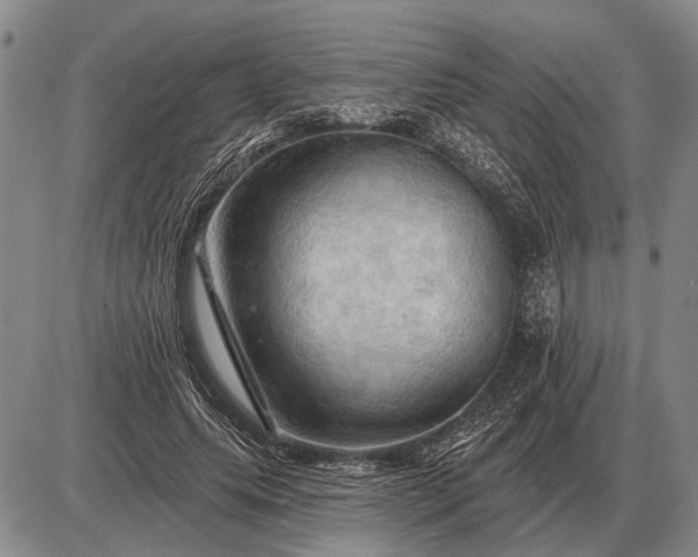 X0000085060639200703191326