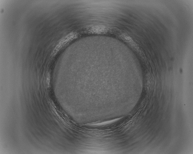 X0000085060640200703191326