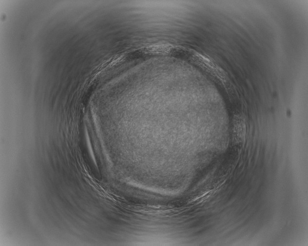 X0000085060641200703191326